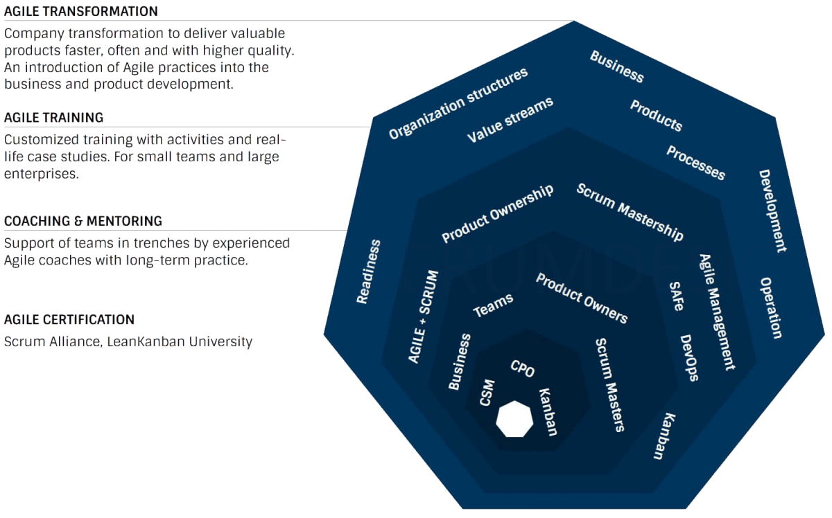 Дорожная карта agile